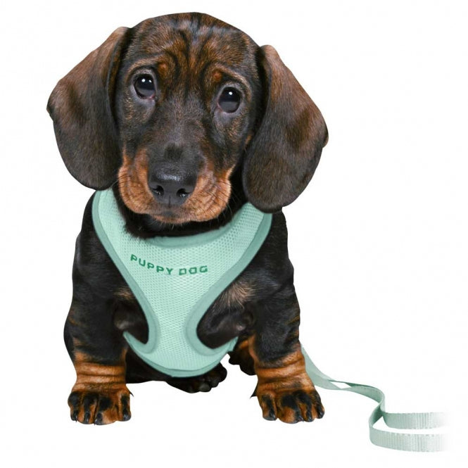 Trixie Junior Puppy-Softtuig met Lijn - mint