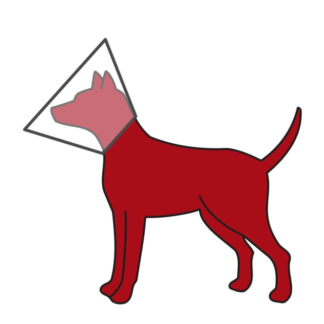 Trixie plastic beschermkraag - XS-S: ø 22-25 cm/10 cm