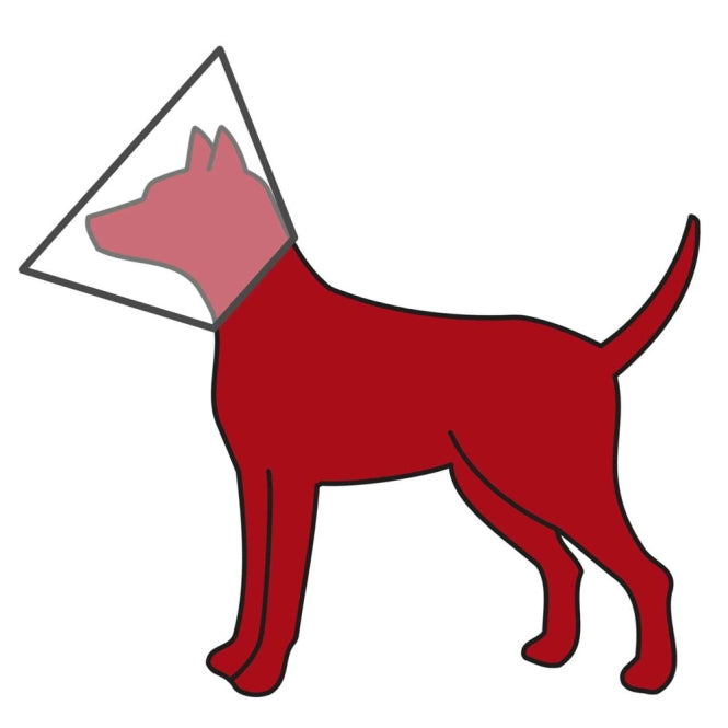 Trixie beschermkraag met klittenbandsluiting - 30-37 cm/14 cm