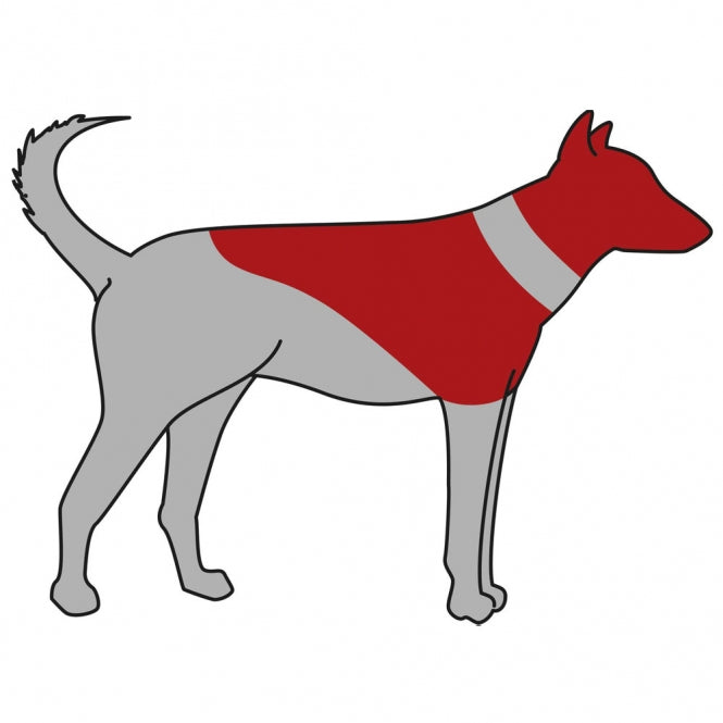 Trixie beschermkraag, opblaasbaar - L-XL