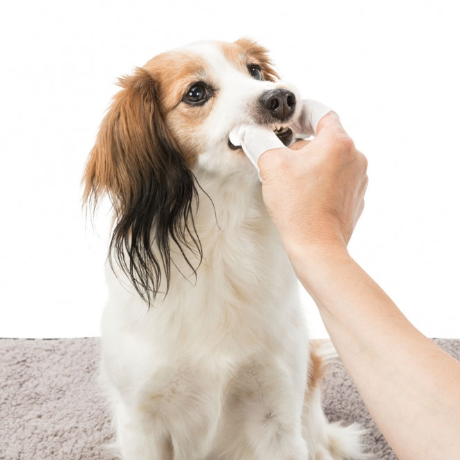 Trixie - wegwerpvingerkussentjes voor mondverzorging - 50 stuks