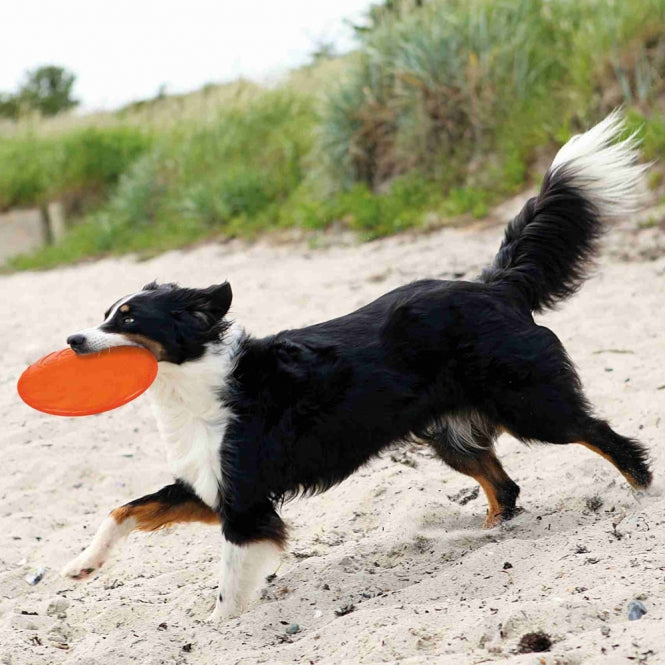 Trixie - TPR frisbee, drijvend - 22 cm