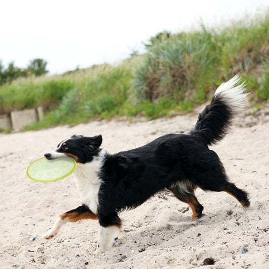 Trixie - TPR Frisbee, drijvend - 18 cm
