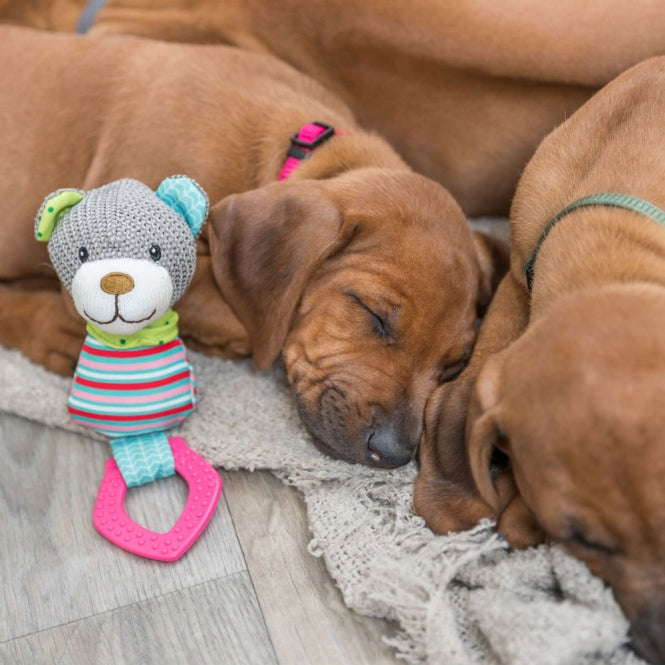 Trixie Junior Beer met Bijtring