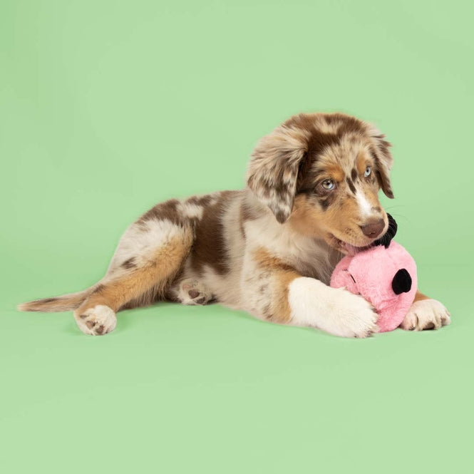 Coockoo Hondenspeelgoed Bouncy Buddy - roze