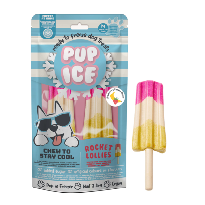 Pup Ice Rocket Lollies Banaan Chocolade M - 2 stuks