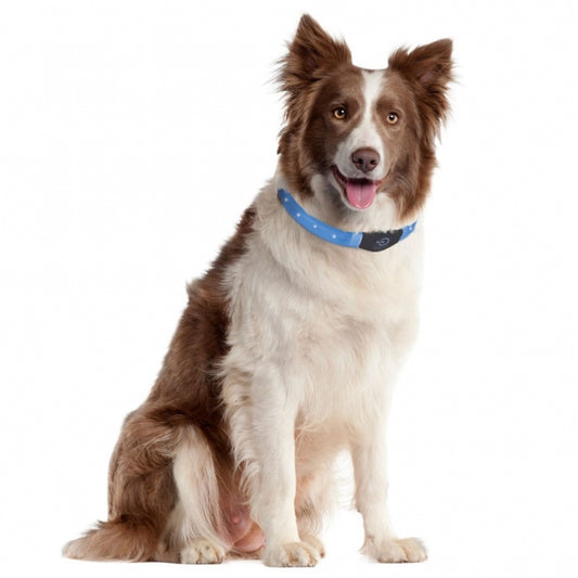 Karlie Flamingo Visio Light Langhaar LED-Lichtbuis - Blauw