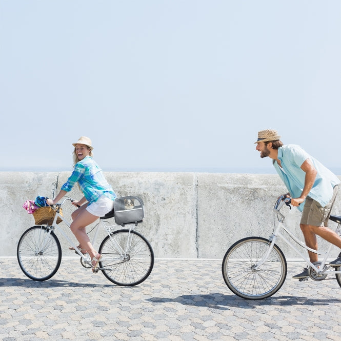 Duvoplus Fietstas voor Bagagedrager