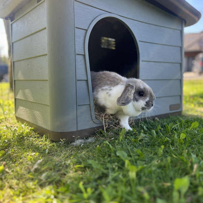 Duvoplus Dierenhuis Pepita Eco - groen - 76 x 59 x 55cm