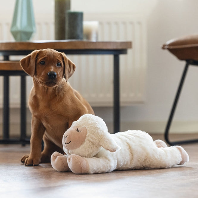 Beeztees Puppy Knuffelspeelgoed Bowi