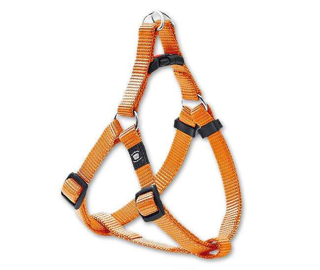 Karlie ASP Step&Go Tuig - Oranje - 15 mm, 41-58 cm