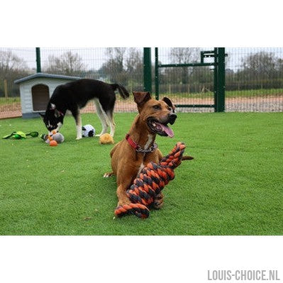 Happy Pet Nuts For Knots Extreme Spoel 8 Vorm Tugger Grijs / Oranje-HAPPY PET-Louis Choice