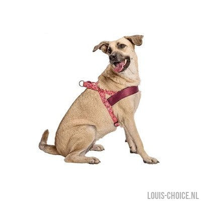 Morso Norwegian Hondentuig Gerecycled Pink Think Roze-MORSO-Louis Choice