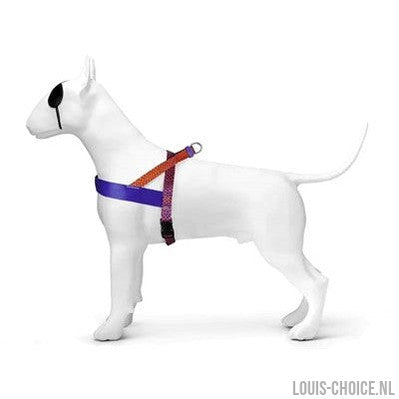 Morso Norwegian Hondentuig Gerecycled Urban Lizard Rood-MORSO-Louis Choice