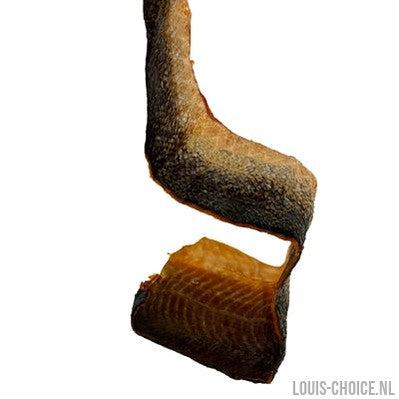 Petsnack Zalmhuid Blafstastische Hondensnack-PETSNACK-Louis Choice