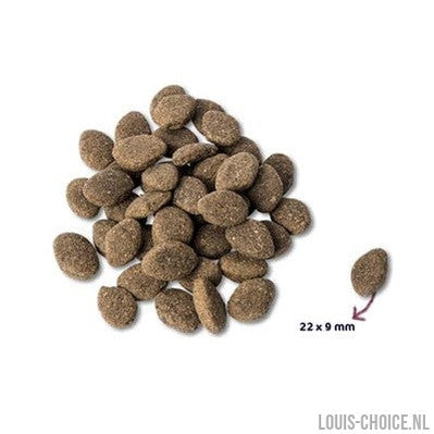 Renske Super Premium Adult Lam Graanvrij Hypoallergeen-RENSKE-Louis Choice