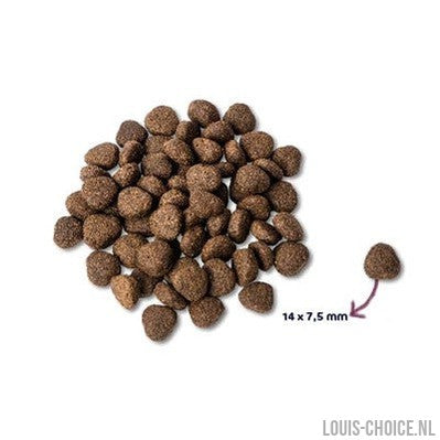 Renske Super Premium Adult Zalm Graanvrij-RENSKE-Louis Choice