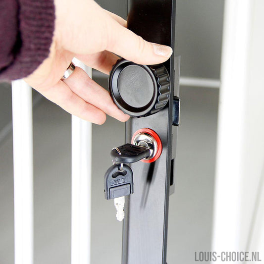 Topmast Premium Autobox Aluminium + Slot - 90 x 55 x 65 cm-Topmast-Louis Choice