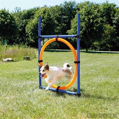 Trixie Dog Activity Agility Ring Blauw / Oranje-TRIXIE-Louis Choice