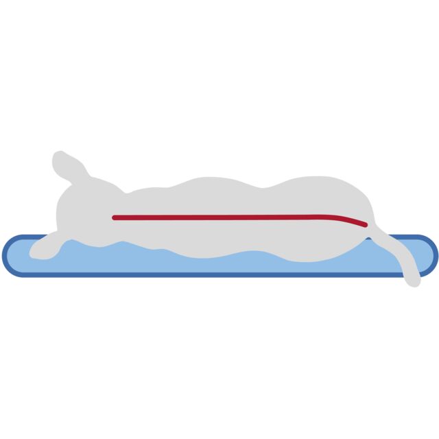 Trixie Vital Matras Bendson - 80 × 60 cm
