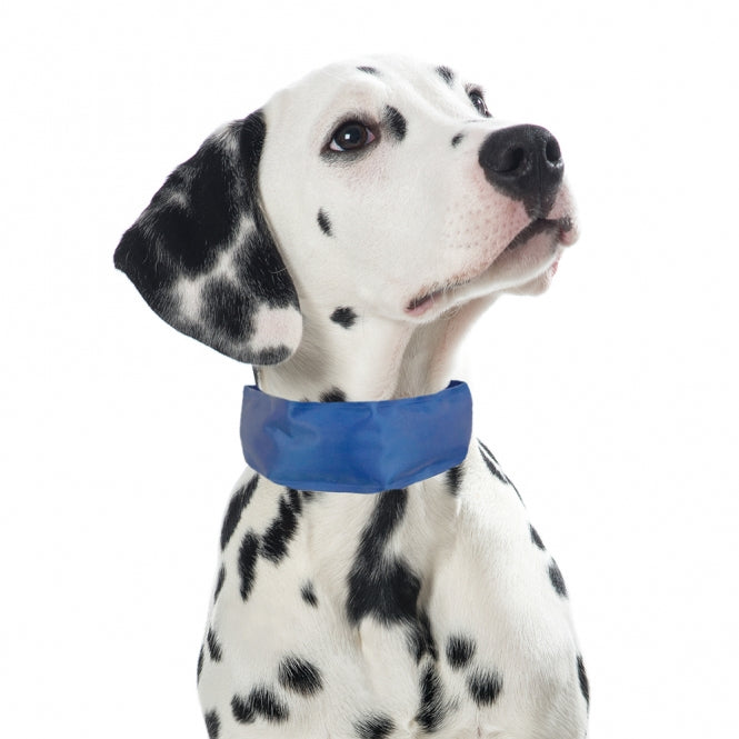 PROCYON Koel-Bandana voor Honden - L