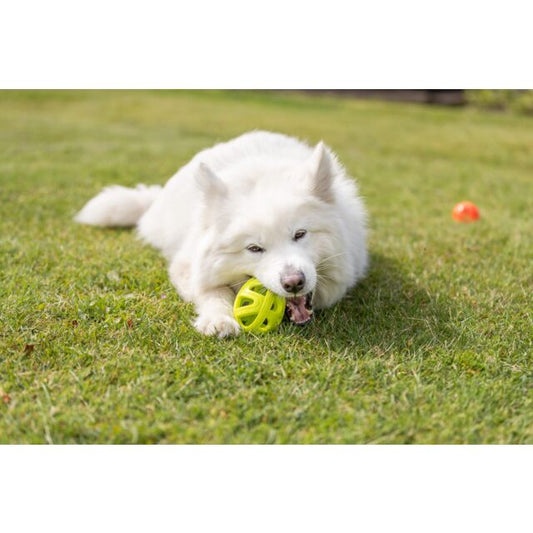 Trixie Wafelrugby van TPE - 11cm