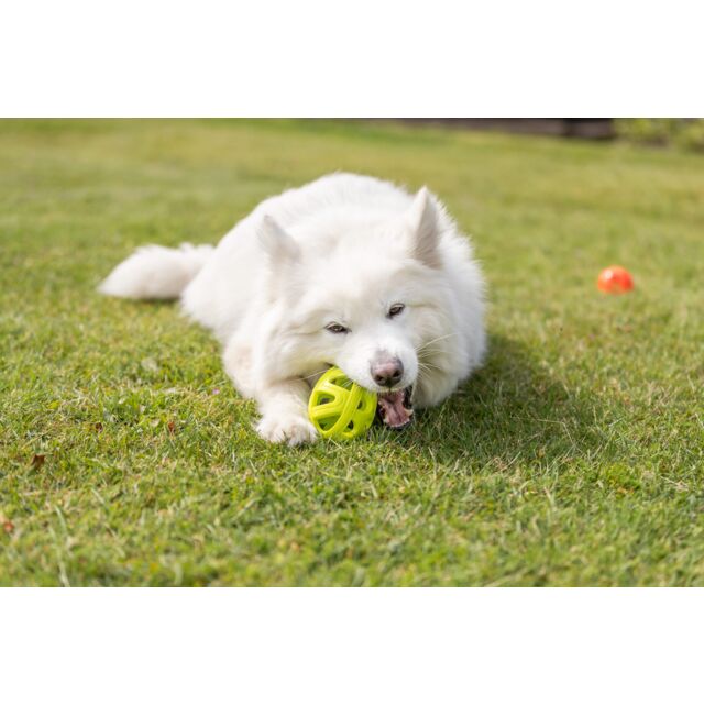Trixie Wafelrugby van TPE - 11cm