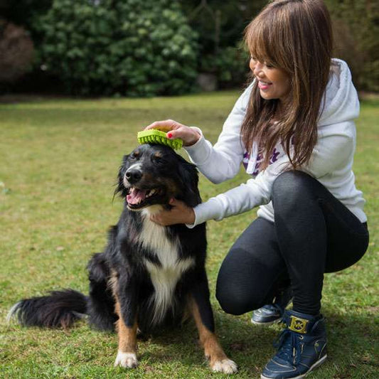 PROCYON siliconen borstel