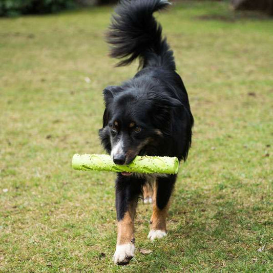 PROCYON - TPR - Dummy