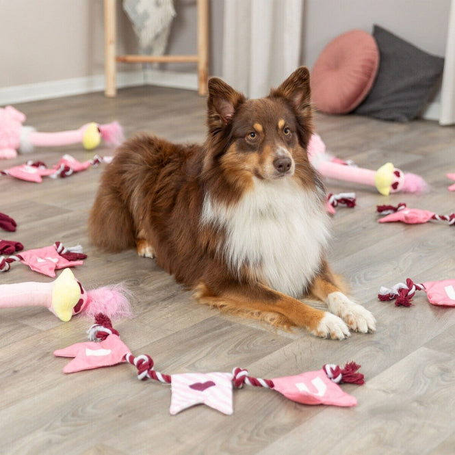 Trixie Hondenspeelgoed Valentines Touw