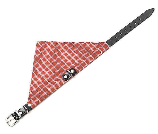 Karlie KOLIBRI Halsband - Rood - 25 mm, 62 cm