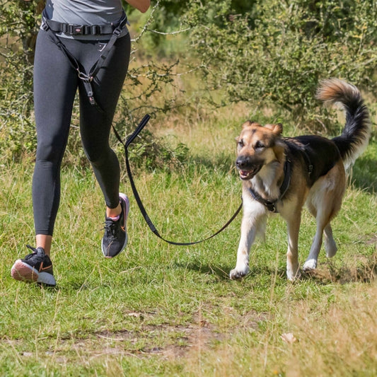 Trixie Buikgordel met Lijn voor Middelgrote en Grote Honden - Cani-Cross