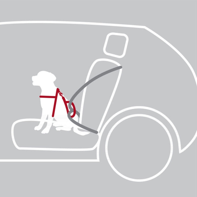 Trixie Auto-Veiligheidstuig Dog Protect - M: 50-65 cm