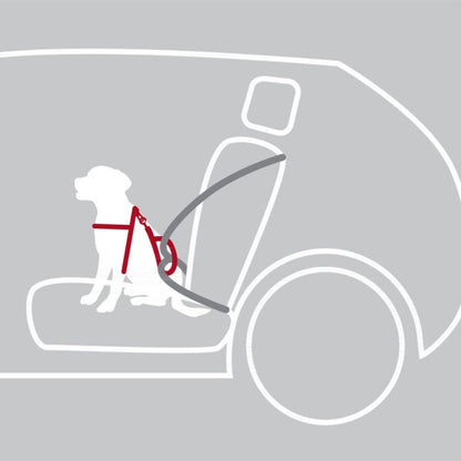 Trixie Auto-Veiligheidstuig Dog Protect - M: 50-65 cm