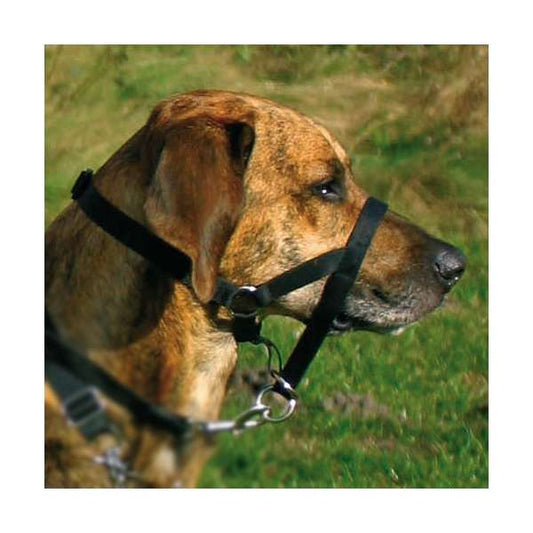 Trixie Top Trainer trainingsharnas - max. 27 cm