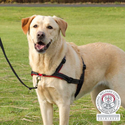 Trixie - Trainingsharnas Lead'n'Walk Soft - S-M