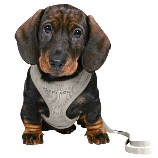 Trixie Junior Puppy-Softtuig met Lijn - lichtgrijs