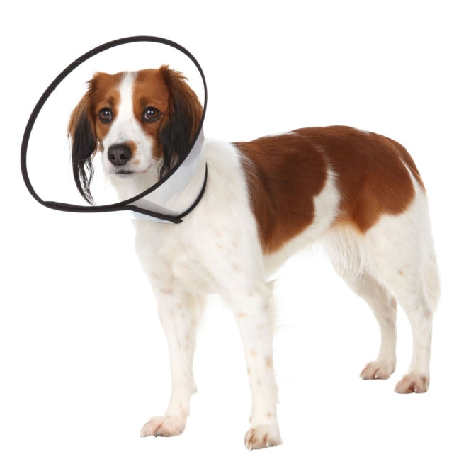 Trixie beschermkraag met klittenbandsluiting - 44-53 cm/22 cm