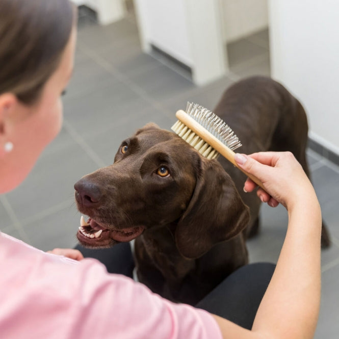 Trixie - Dubbelzijdige bamboeborstel - 5 x 19 cm