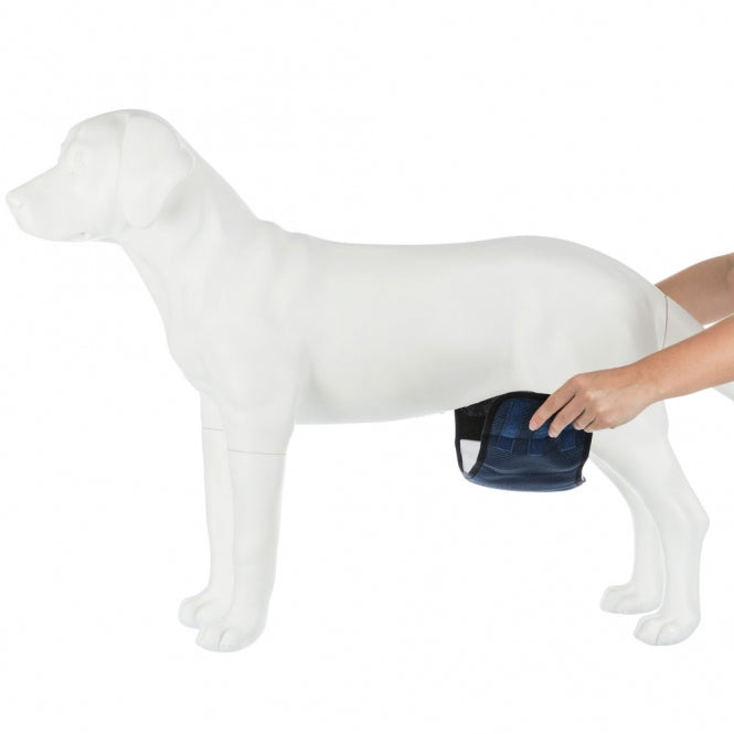 Trixie - wasbare luiers voor mannelijke honden - XL / 65-75 cm