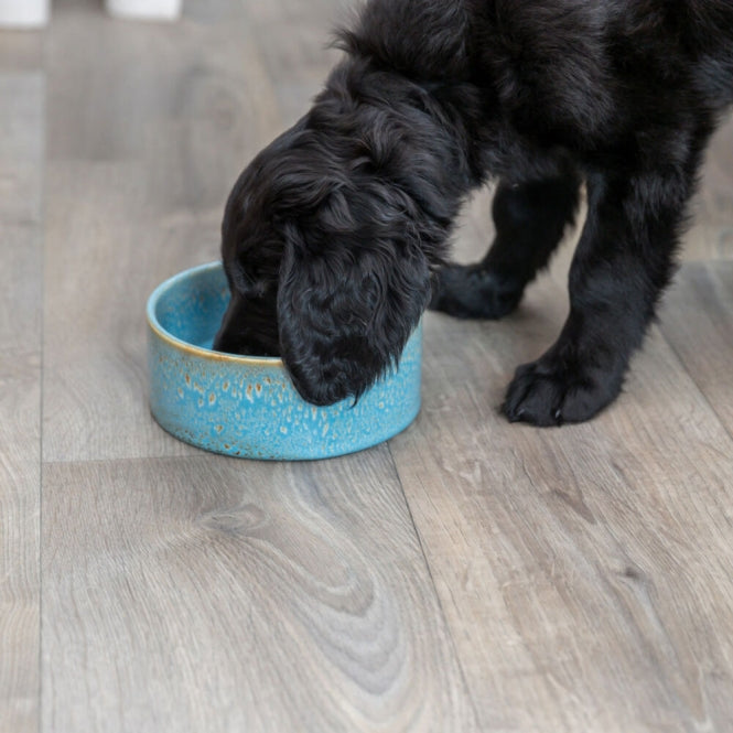 Trixie keramische kom met patroon - blauw - 0,4 l/ø 13 cm