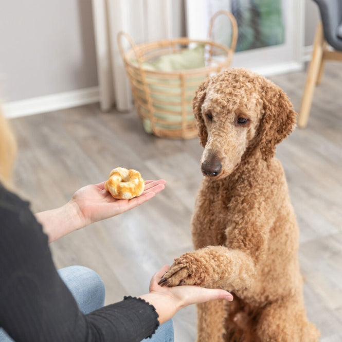 Trixie Denta Fun Twists gemaakt van collageen - 2 stuks/85 g