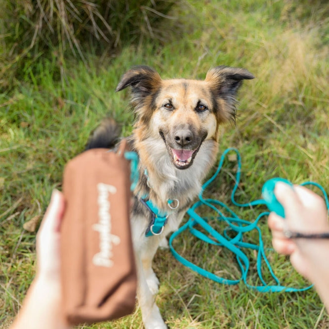 Trixie - Preydummy - Canvas Bruin - 8 x 20 cm