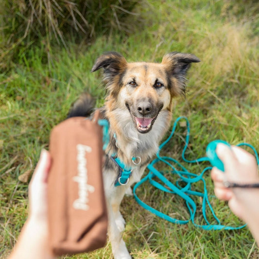 Trixie - Preydummy - Canvas Bruin - 8 x 20 cm