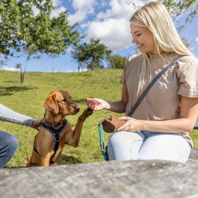 Trixie - Preydummy - Canvas Bruin - 5 x 12 cm