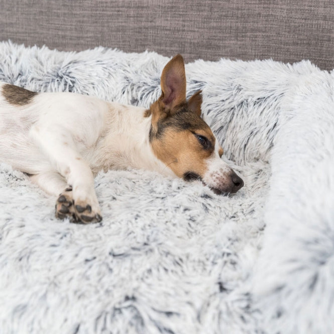 Trixie gestoffeerde hondendeken Harvey - 70 x 90 cm