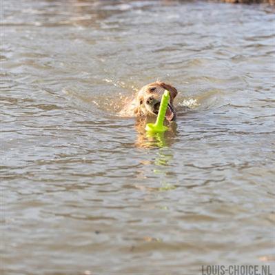 Trixie Dog Activity Mot-Aqua Apporteer Dobber Limegroen
