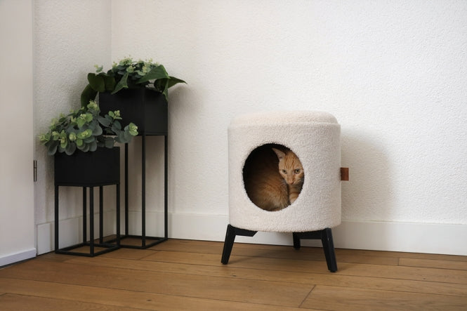 D&D Kattenhuis Jean - wit