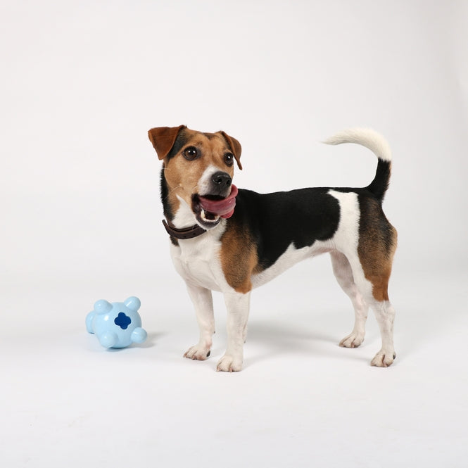 EBI Petit - Puppy Snack Toy - Gigi - Geel