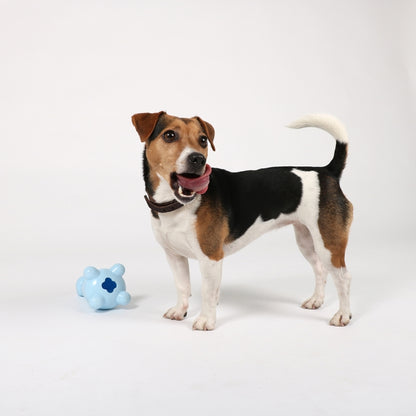 EBI Petit - Puppy Snack Toy - Gigi - Blauw